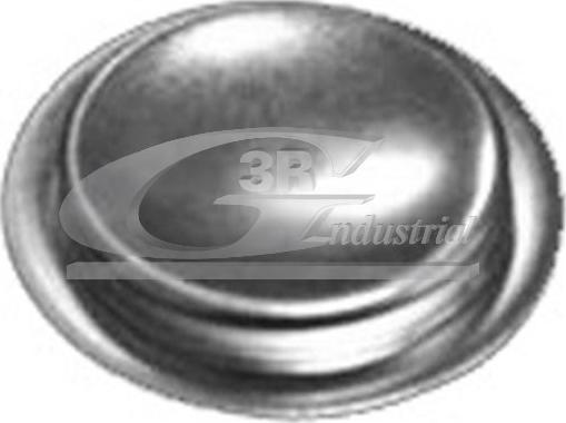 3RG 84050 - Plug, rocker arm shaft mounting bore europarts.cy