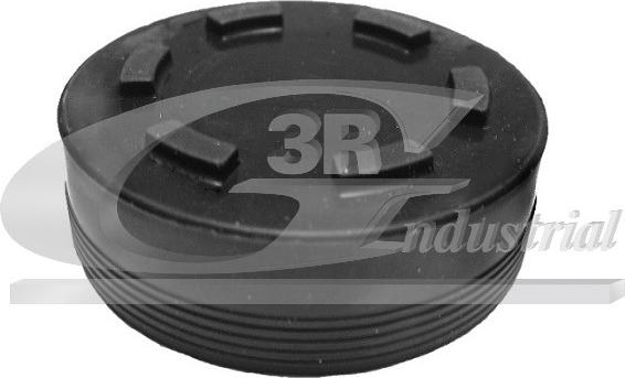 3RG 84700 - Plug, rocker arm shaft mounting bore europarts.cy