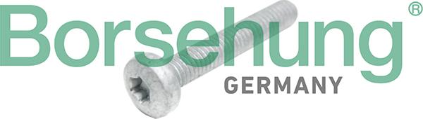 Borsehung B10645 - Cylinder Head Bolt europarts.cy