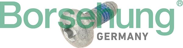 Borsehung B10646 - Locking Screw, control times europarts.cy