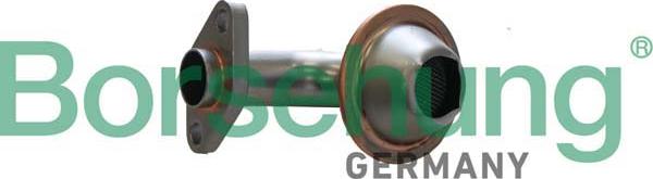 Borsehung B12308 - Strainer, oil pump suction pipe europarts.cy