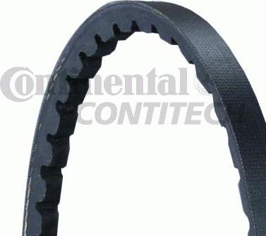 CONTINENTAL AVX10X800 - V-Belt europarts.cy