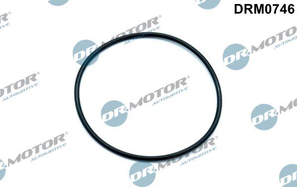Dr.Motor DRM0746 - Gasket, vacuum pump europarts.cy
