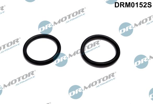 Dr.Motor Automotive DRM0152S - Gasket, intake air preheating heater flange europarts.cy