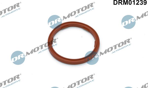 Dr.Motor Automotive DRM01239 - Seal Ring, engine oil level sensor europarts.cy