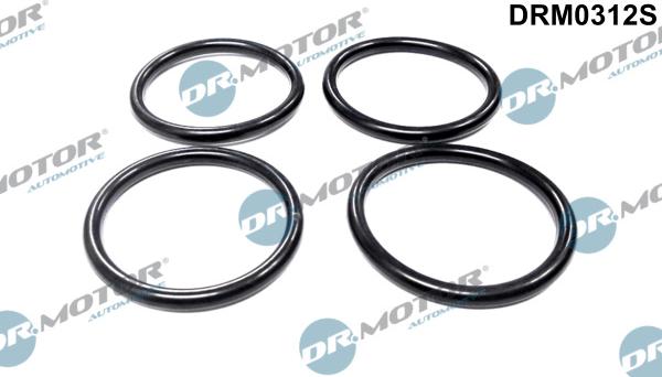 Dr.Motor Automotive DRM0312S - Gasket Set, intake manifold europarts.cy