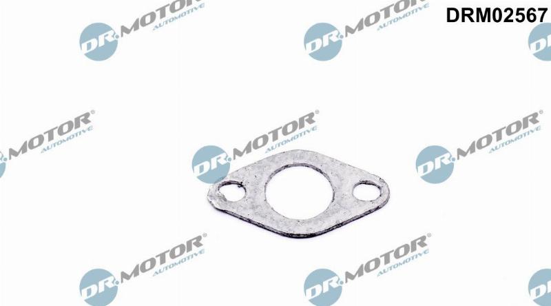 Dr.Motor Automotive DRM02567 - Seal, secondary air valve europarts.cy