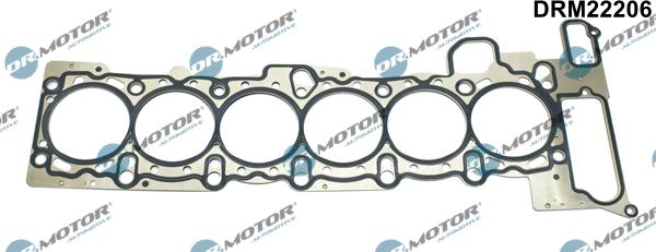 Dr.Motor Automotive DRM22206 - Gasket, cylinder head europarts.cy