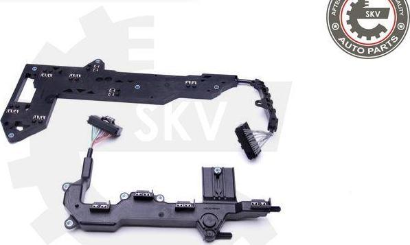 Esen SKV 96SKV065 - Repair Kit, automatic transmission flange europarts.cy