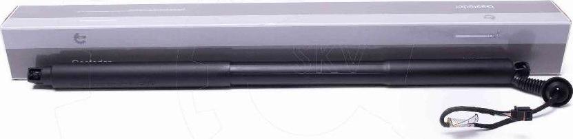 Esen SKV 52SKV969 - Electric Motor, tailgate europarts.cy