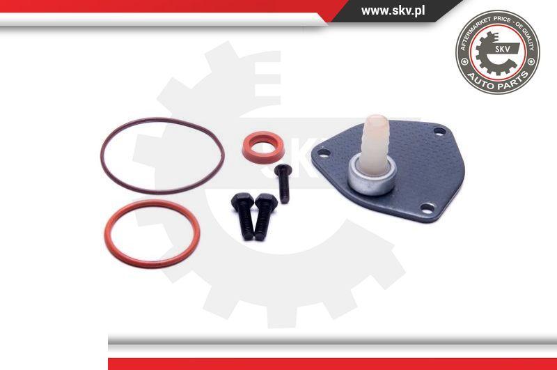 Esen SKV 18SKV806 - Repair Set, vacuum pump (braking system) europarts.cy