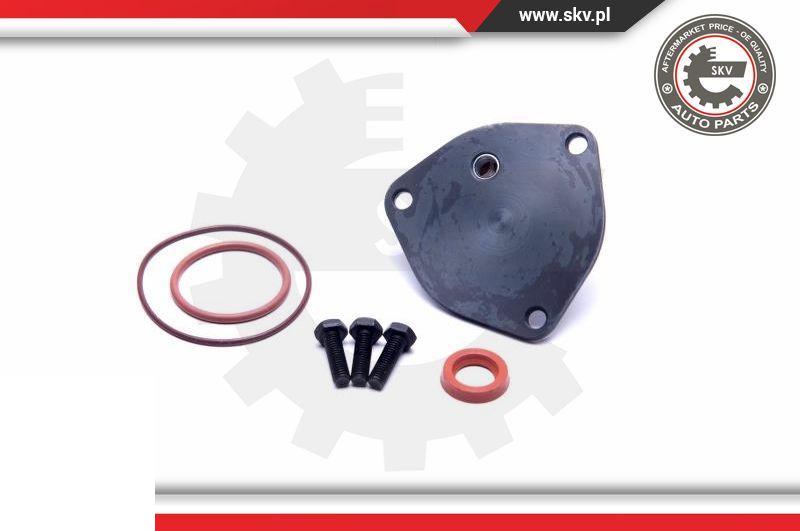Esen SKV 18SKV800 - Repair Set, vacuum pump (braking system) europarts.cy