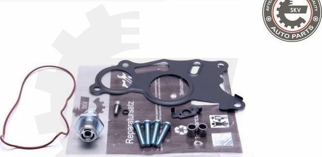 Esen SKV 18SKV803 - Repair Set, vacuum pump (braking system) europarts.cy