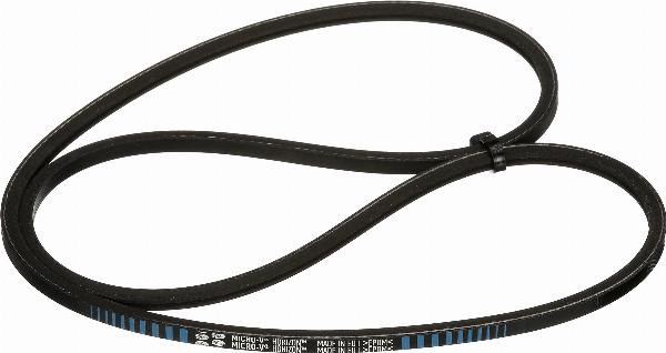 GATES 2PJ800 - V-Ribbed Belt europarts.cy