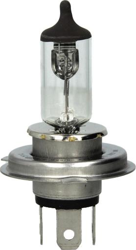 Magneti Marelli 002535100000 - Bulb, spotlight europarts.cy