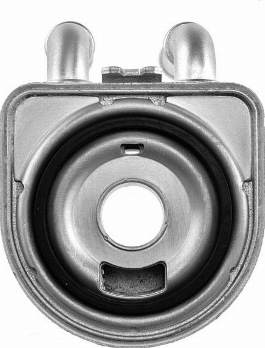 NTY CCL-CT-000 - Oil Cooler, engine oil europarts.cy