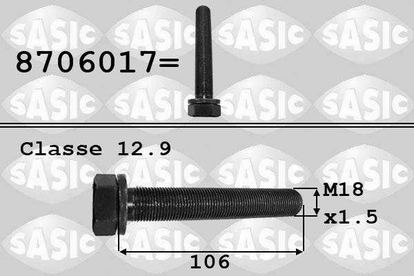 Sasic 8706017 - Pulley Bolt europarts.cy