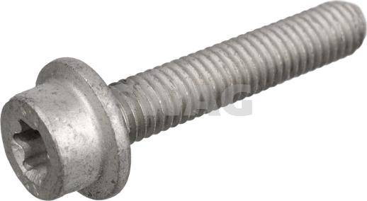 Swag 10 94 6395 - Screw Plug, transmission housing europarts.cy