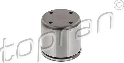 Topran 115 766 - Plunger, high pressure pump europarts.cy