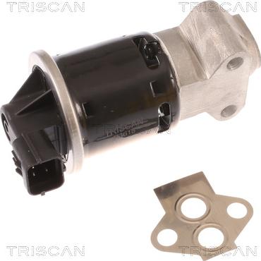 Triscan 8813 21100 - EGR Valve europarts.cy