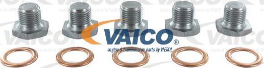 VAICO V42-0259 - Sealing Plug, oil sump europarts.cy
